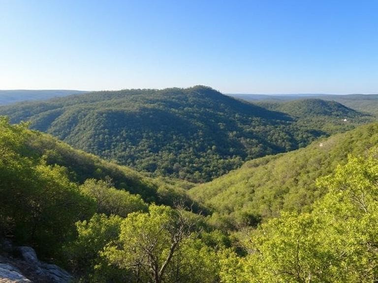 Ultimate Guide to Lost Maples State Natural Area: A Texas Hill Country Gem