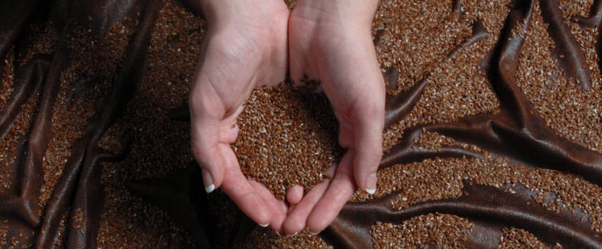 benefits of flaxseeds
