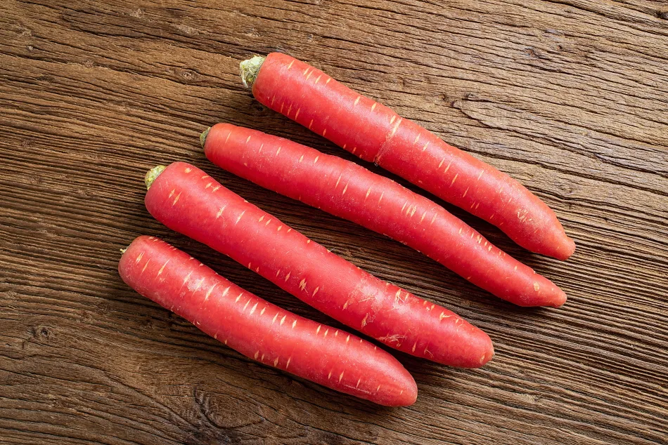 Eating Carrots during the Winter Season