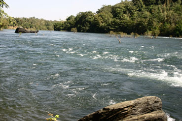 Seeking an Alternative to Goa? Try Dandeli Instead