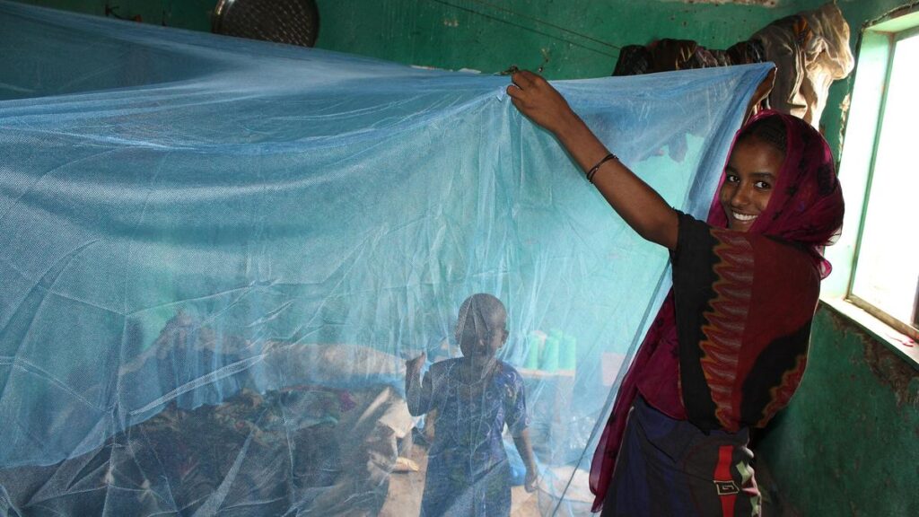 Antimalarial agents sidestep insecticide resistance by fighting parasite