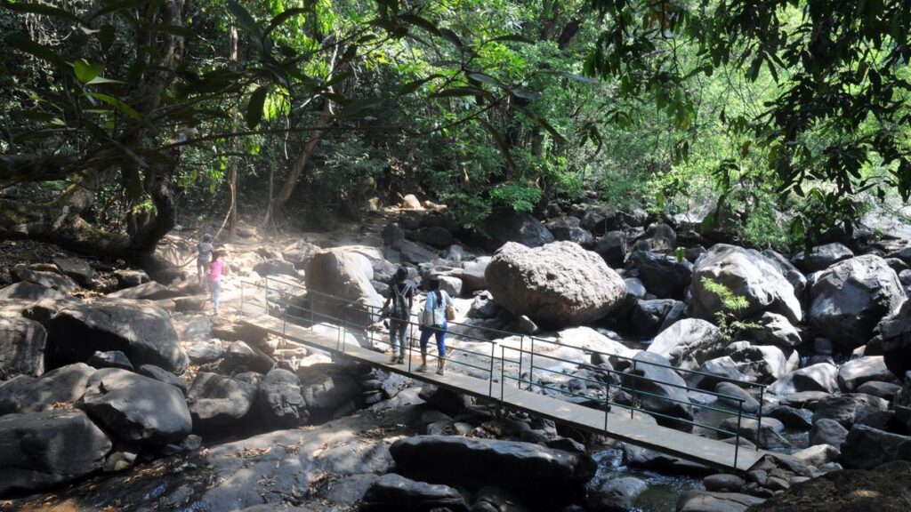 Market forces have led to change and degradation of forest ecosystems in Goa: Study