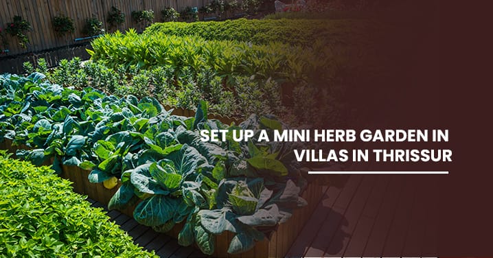 Set Up a Mini Herb Garden in Villas in Thrissur