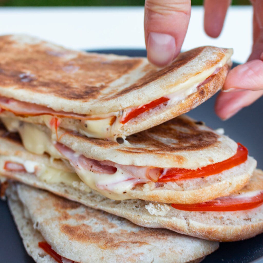 Ham and Cheese Panini