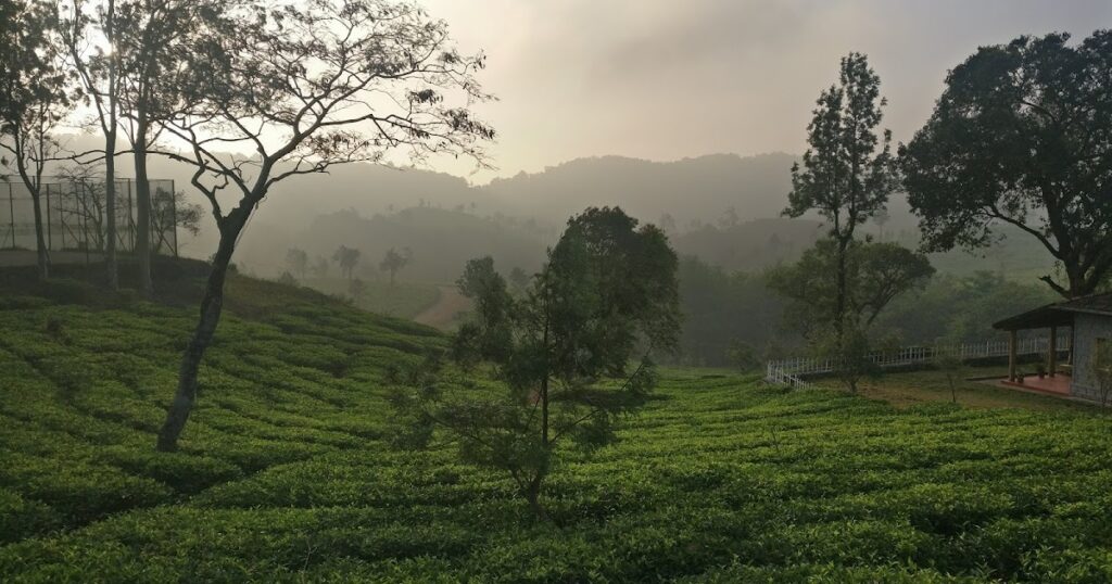 Hidden Gems of South India
