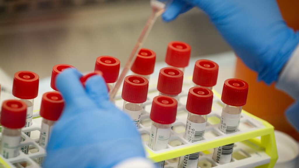 The U.S. has world-class scientific talent. The rest of the world is hoping to lure that away