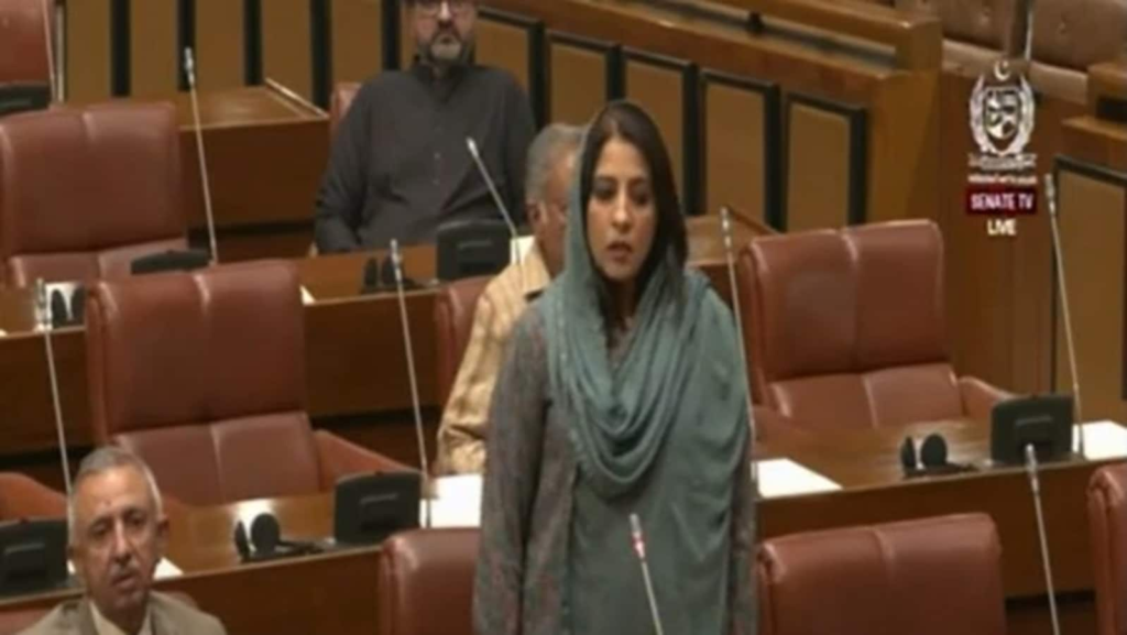 ‘Pakistan army will lay first brick at new Babri Masjid’, Palwasha Khan’s fiery tirade against India – Who is she?