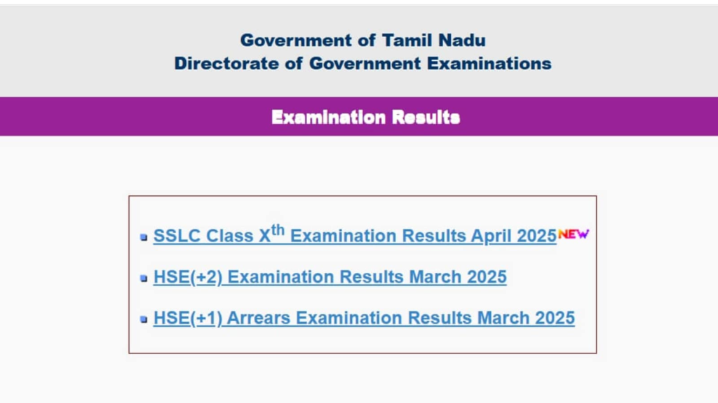 TN result: SSLC, HSE +1 Result 2025 OUT! How to check Tamil Nadu Board Class 10, 11 scorecard at tnresults.nic.in