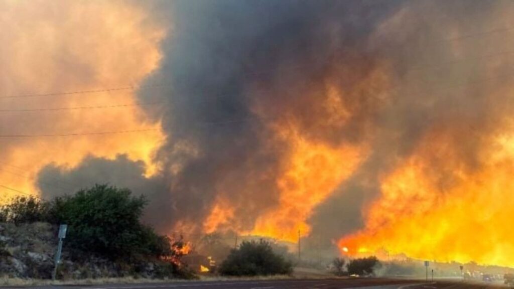 Wildfires