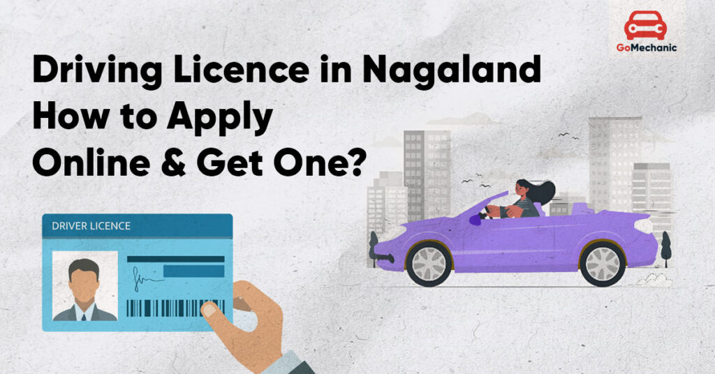 Driving Licence in Nagaland – How to Apply Online & Get One?