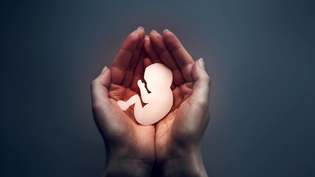 Why is there variation in India’s fertility rates? | Explained
