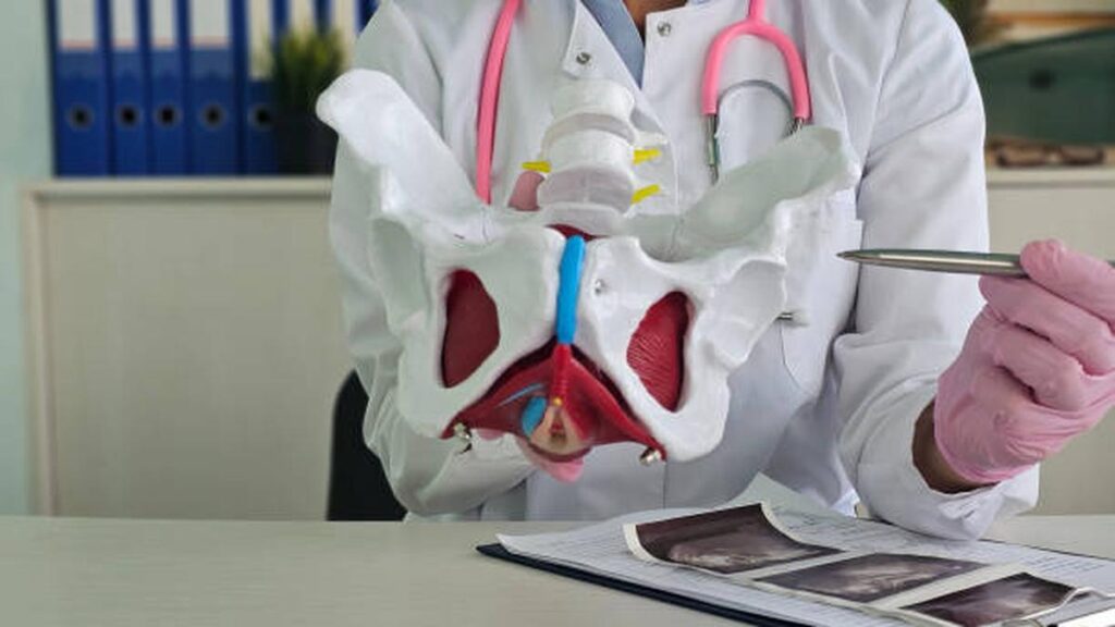Early medical care for pelvic organ prolapse symptoms can improve women’s quality of life, experts say