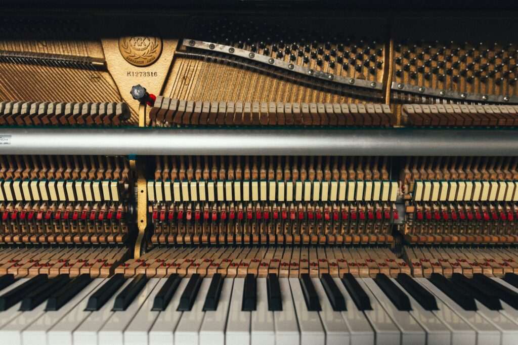 The Piano’s Role in Classical Music Development | Serenade