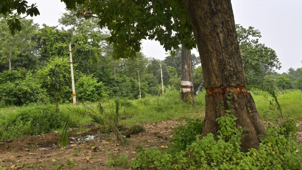 Chhattisgarh seeks Centre’s help after Forest Department stalls community forest resource management plans