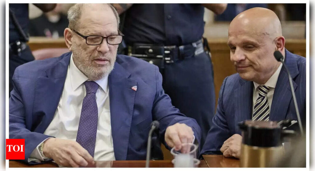 Harvey Weinstein's lawyer claims rape and sexual assault accusers were 'women with broken dreams' |