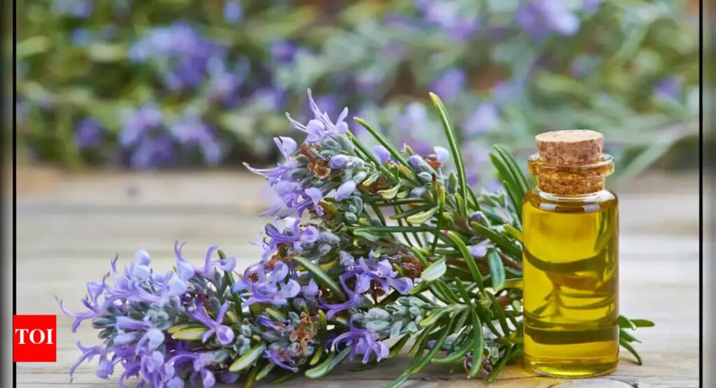 Does Rosemary aroma really improve memory? Here’s what research says |