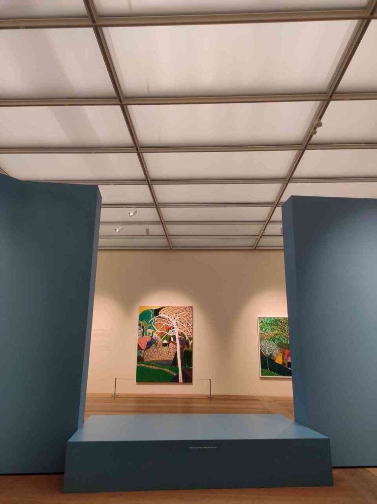 Art gallery and museums