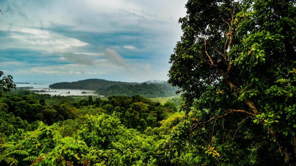 Tribals in Great Nicobar not against development but lack info about mega project: NCST member