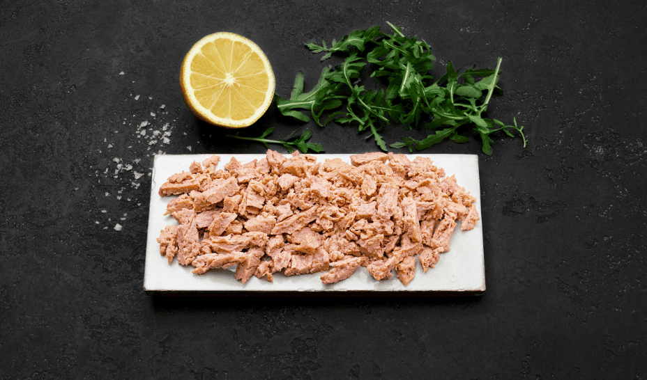 Finnish startup Hailia raises €1.75 million to transform underutilised fish materials into new seafood dishes