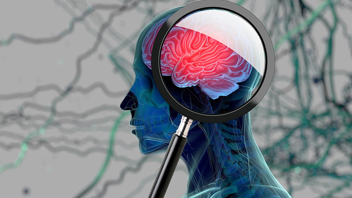 Chronic stress contributes to cognitive decline and dementia risk – two healthy-ageing experts explain what you can do about it