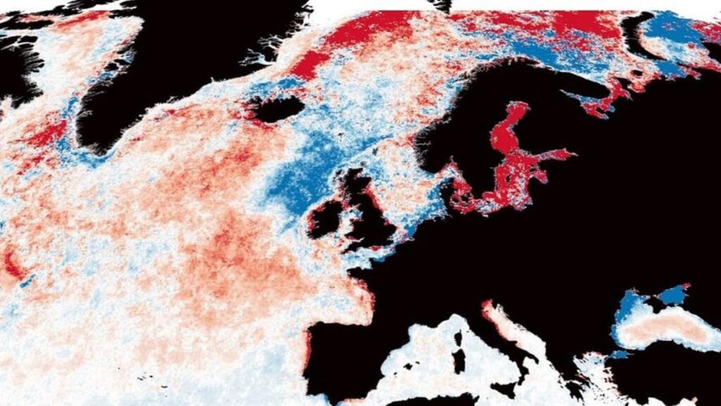 Ocean-darkening-research