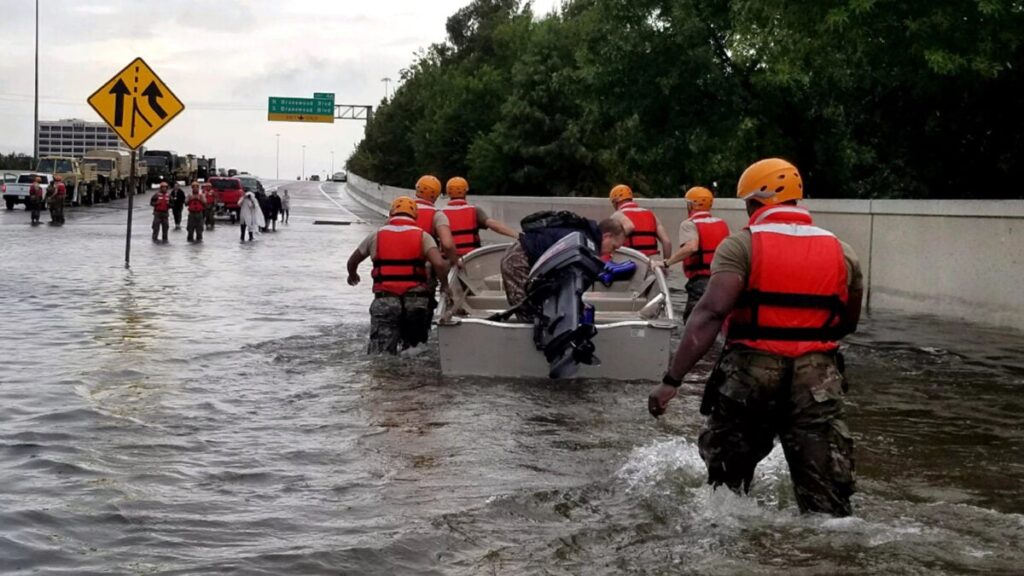 Climate Disasters Hit the Brain Before Babies Are Even Born, Study Suggests