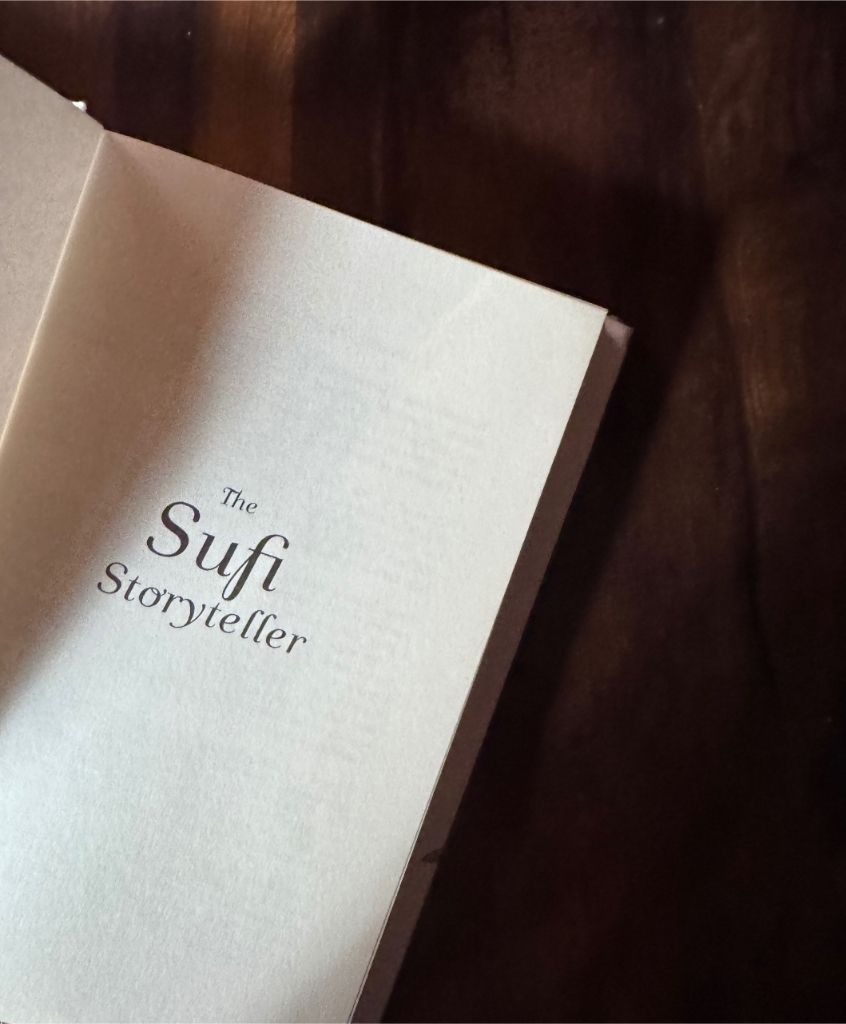 The Sufi Storyteller by Faiqa Mansab - A Dream That Faded Too Soon