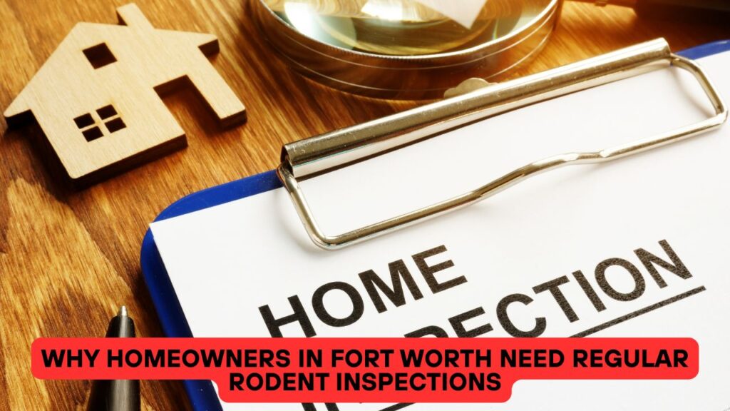 Why Homeowners in Fort Worth Need Regular Rodent Inspections