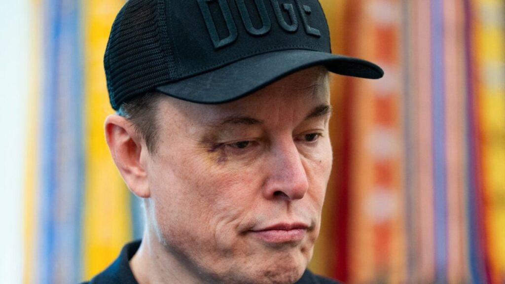 Why Elon Musk Is Throwing a Fit Over the Budget