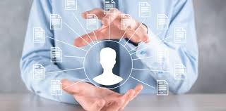 When should you use an employer of record, and which one should you choose?