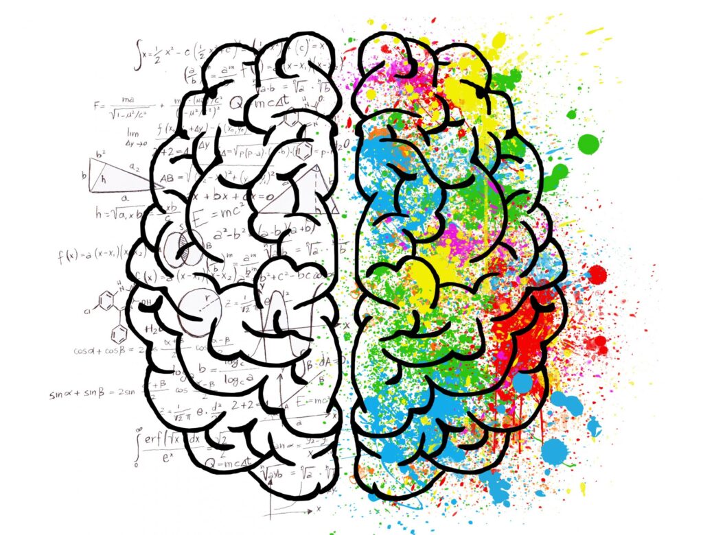 Balanced Entrepreneurs Succeed - Venture Founders