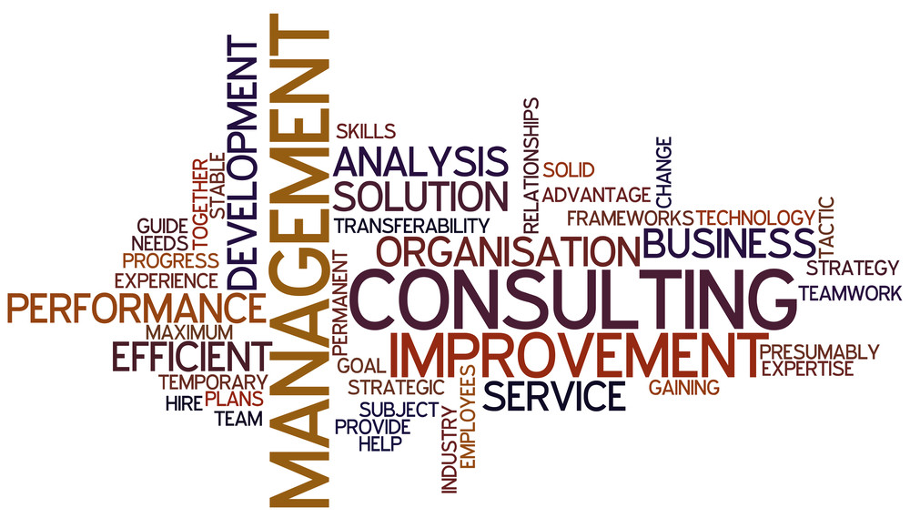 Key Skills for Management Consulting & How to Get Them