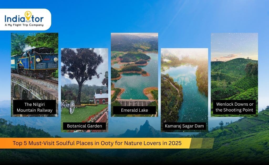 places in ooty for nature lovers