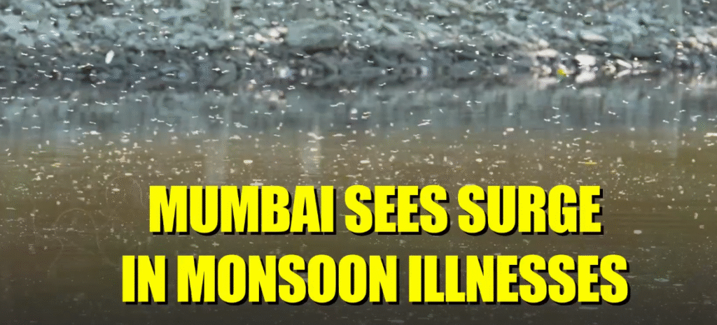 Early Monsoon Brings Surge in Mosquito-Borne Diseases to Mumbai: Malaria Cases Nearly Double