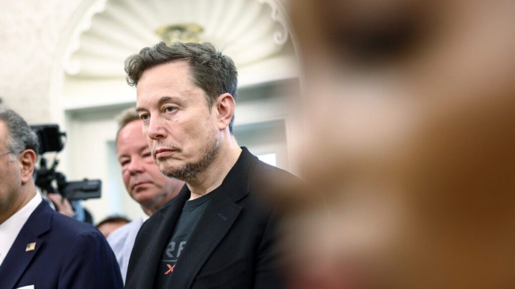 Libertarian Party Invites Elon Musk to Join Them in the Realm of Political Loserdom