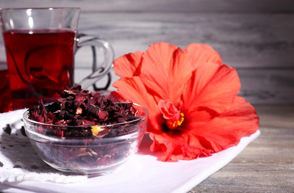 Hibiscus Good for Hair Growth