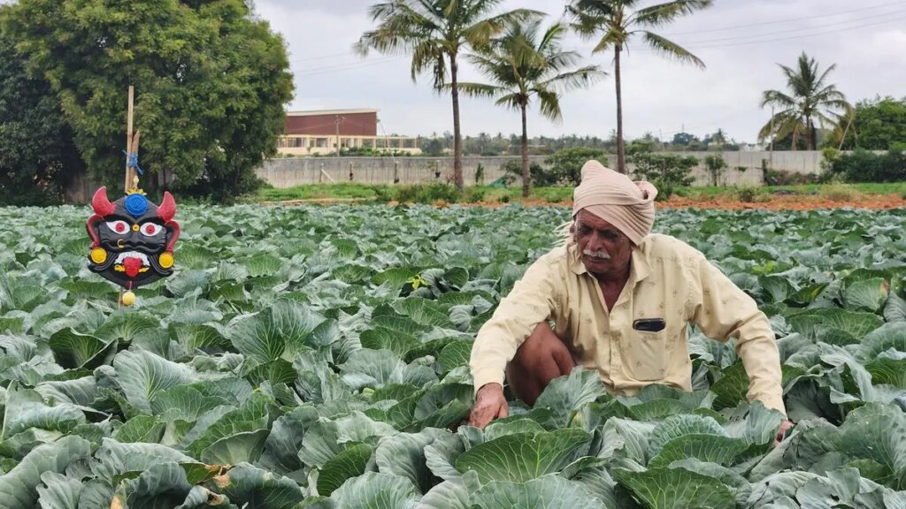 How Karnataka’s Farmers Are Defying Land Grab in Bangalore Suburb